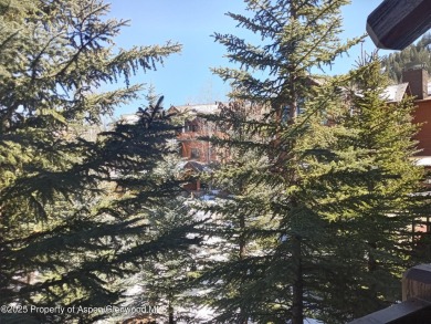 1/12 interest in a luxury condominium right at the base of Aspen