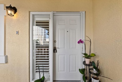 Downtown St Pete  is now your playground! Discover the epitome