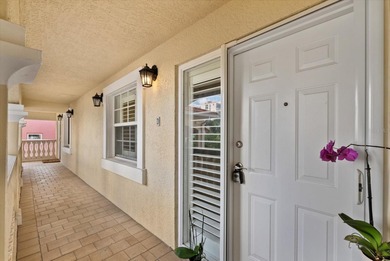 Downtown St Pete  is now your playground! Discover the epitome