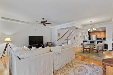 Downtown St Pete  is now your playground! Discover the epitome