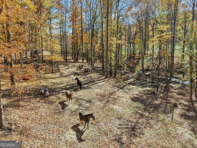 Once-in-a-lifetime opportunity to own a true North Georgia