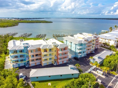 Lemon Bay Waterfront Paradise with a BOAT SLIP! Experience the