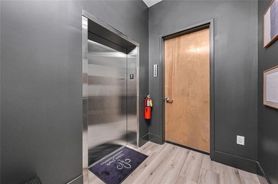 NEW CONSTRUCTION LUXURY CONDO in ADAIR PARK, Downtown