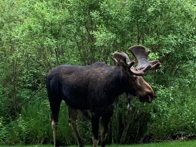 Experience Breckenridge at its best from this rarely-available