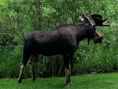 Experience Breckenridge at its best from this rarely-available