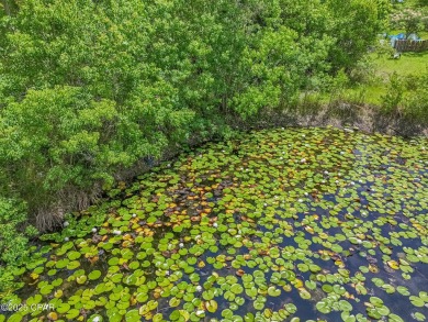 Charming 3-Bedroom Home on 1+ Acre with Pond & Fruit Trees