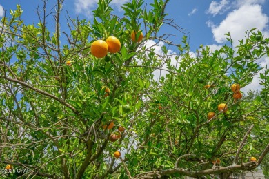 Charming 3-Bedroom Home on 1+ Acre with Pond & Fruit Trees