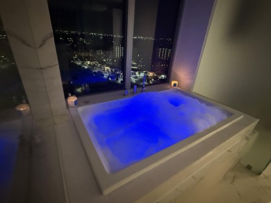 The Eagle's Nest Above the SeaWater Club Penthouse 2204 -