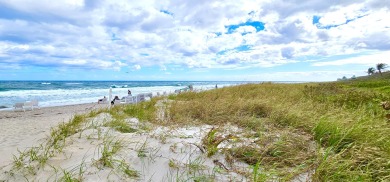 A PERFECT COMBINATION TO SOOTHE YOUR SOUL:  IDYLLIC DESIGNER