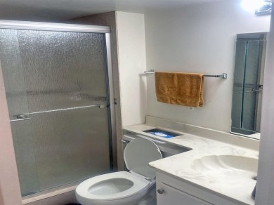 Don't miss this opportunity! 2 bed 2 bath over 55 condo in Lime