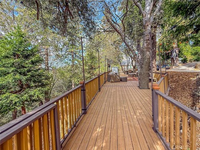 Stunning Mountain Retreat Backing up to National Forest!
