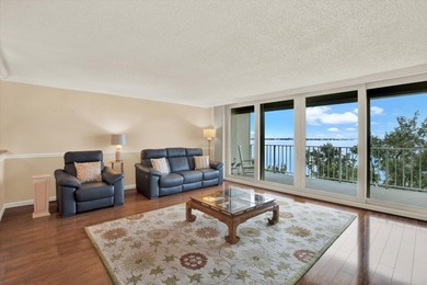 Welcome to The Bayshore Diplomat -- one of South Tampa's most