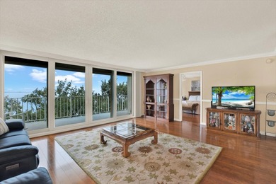 Welcome to The Bayshore Diplomat -- one of South Tampa's most