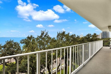 Welcome to The Bayshore Diplomat -- one of South Tampa's most