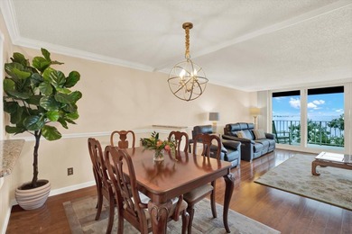 Welcome to The Bayshore Diplomat -- one of South Tampa's most