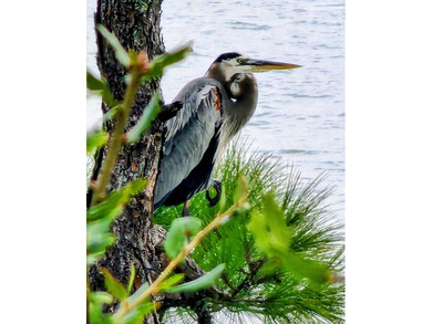 STOP SCROLLING ? Your Gulf Front Dream Awaits! Don't miss this