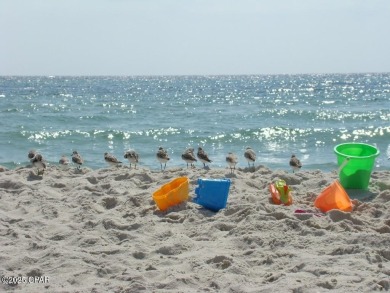 ''Dream by the Sea'' - Pinnacle Port, Unit A335 | Gulf & Lake