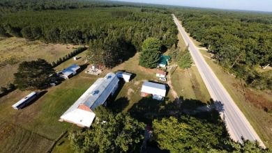 Nestled amid the beauty of Michigan's forests yet remarkably