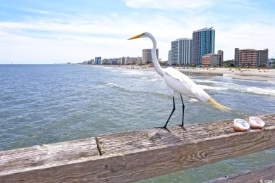 Oceans One- *the only* 1 bedroom unit listed currently with the