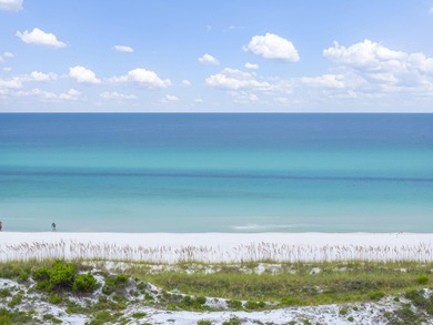 FABULOUS OCEAN VIEW! 175 FEET OF PRISTINE BEACHFRONT SHARED BY