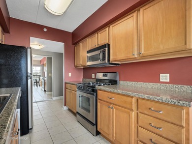 Beautiful and spacious second floor condo in the heart of Tinley