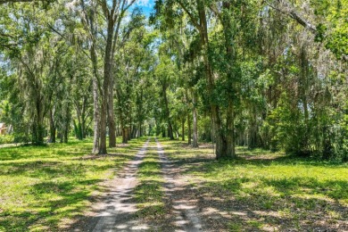 Under contract-accepting backup offers. This Central Florida