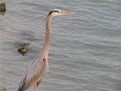 Looking for a cozy getaway spot or a charming short-term rental