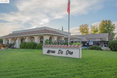 Welcome to 69 Mesa De Oro Circle -- a beautifully maintained