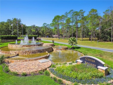 Tucked away on a VERY INTIMATE and ISOLATED.55-acre corner lot