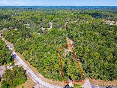 Tucked away on a VERY INTIMATE and ISOLATED.55-acre corner lot