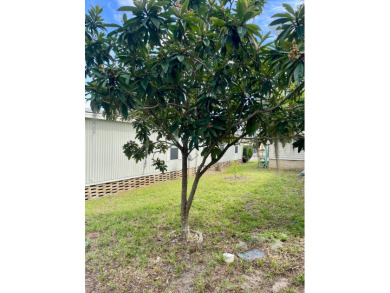 Swiss Village / Lot #227 / 2 Bedroom/2 Bath / 1,500 Sq. Ft. /