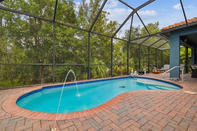 Welcome to Terra Bella in Land O' Lakes!  This well-maintained