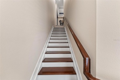 ***Significant Price Improvement*** This is what you have been