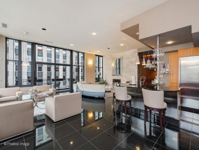 Welcome to the epitome of penthouse living in Chicago's premier