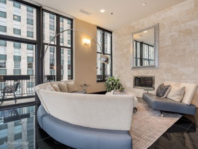 Welcome to the epitome of penthouse living in Chicago's premier