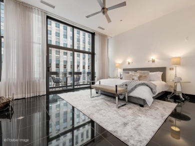 Welcome to the epitome of penthouse living in Chicago's premier