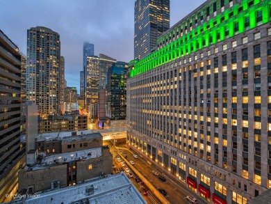 Welcome to the epitome of penthouse living in Chicago's premier