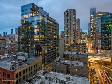 Welcome to the epitome of penthouse living in Chicago's premier