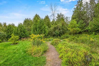 Dream retreat on over 5acres of pristine land overlooking Mill