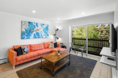 Stunning mountain modern condo located at the base of Alpine