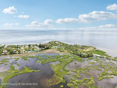 Your Pine Island Beach Retreat Awaits! This beautifully