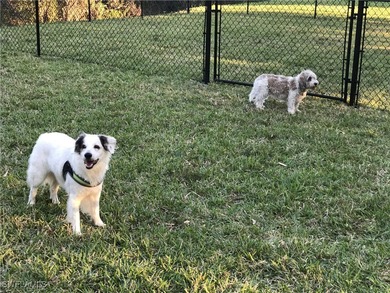 Be mesmerized by the sun glistening on a 25-acre lake, 700 acre