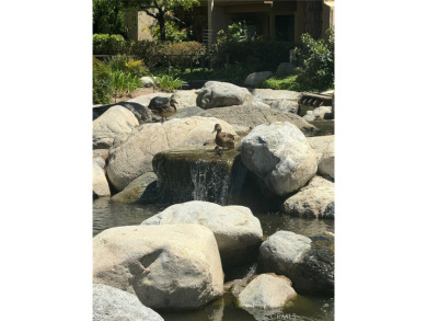 Beautiful Ground Level Condo with Water View!
Prime location