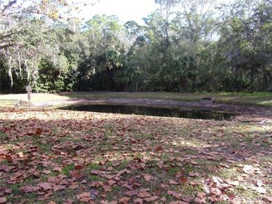 Tarpon Springs Pine Ridge Community Rare Opportunity!!!  NOTE