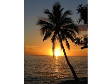 BREAKING NEWS...Monthly maintenance will be REDUCED by over 25%