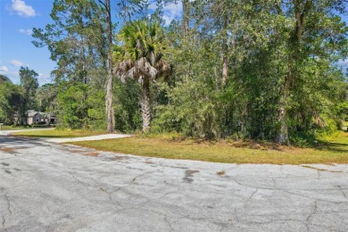Tucked away on a VERY PRIVATE and SECLUDED .55-acre corner lot
