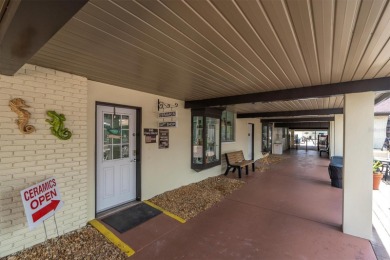 55+ resort-style living at Sun City Center - ranked #1