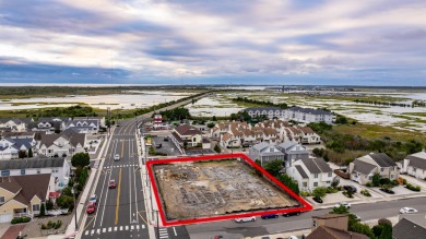 Stunning new construction townhouse in the beautiful, highly