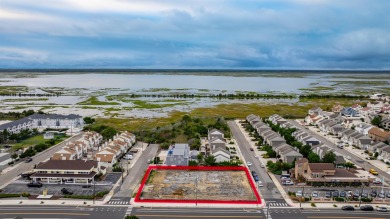 Stunning new construction townhouse in the beautiful, highly