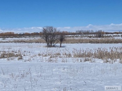 40 Acres at the end of a dead end road. PROPERTY IS Currently A